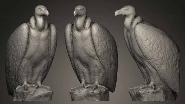 Bird figurines (Eagle sleeping, STKB_0025) 3D models for cnc